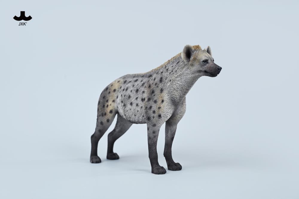 Hyena (A3) 1/6 Scale Figure Gallery Image 3
