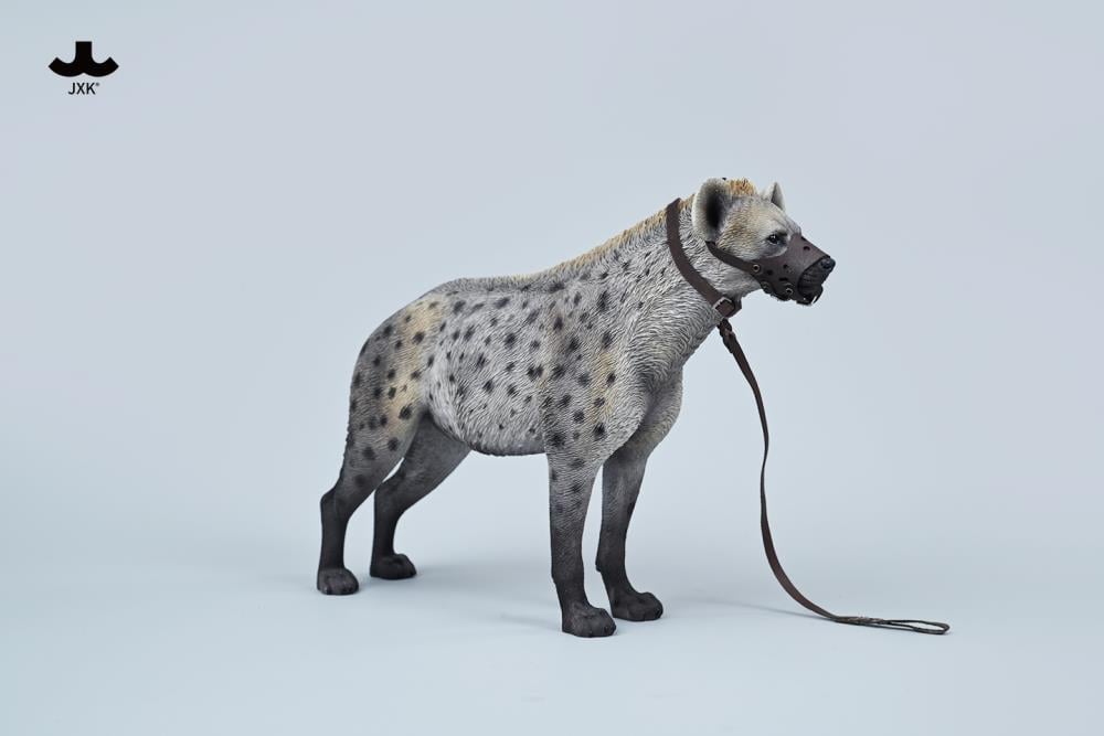 Hyena (A3) 1/6 Scale Figure Gallery Image 6