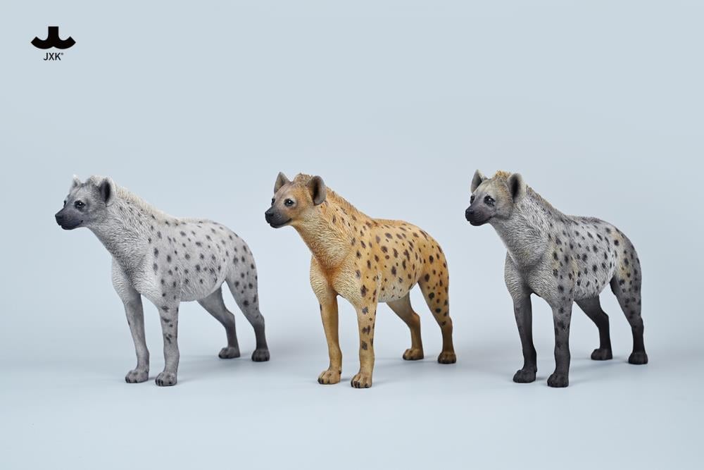 Hyena (A3) 1/6 Scale Figure Gallery Image 8