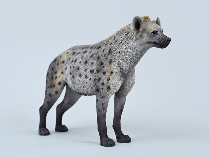 朱羅 hyena original.jpg
