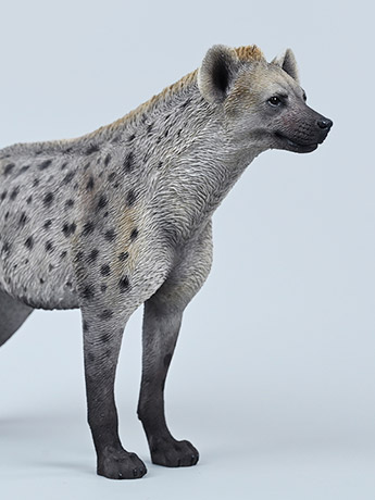 Hyena (A3) 1/6 Scale Figure Gallery Image 2