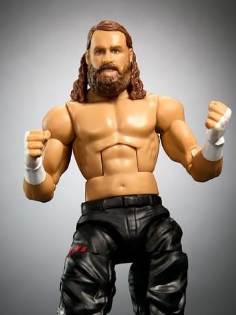 WWE Elite Collection Series 106 Sami Zayn Gallery Image 2