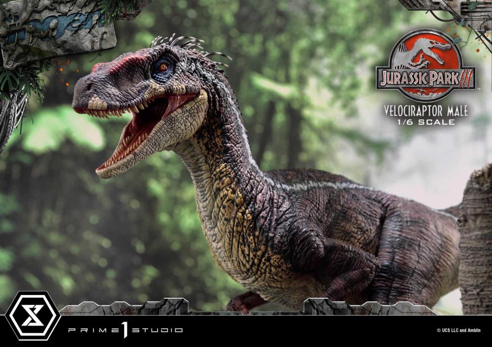 Jurassic Park III Legacy Museum Collection Velociraptor Male 1/6 Scale Statue Gallery Image 8