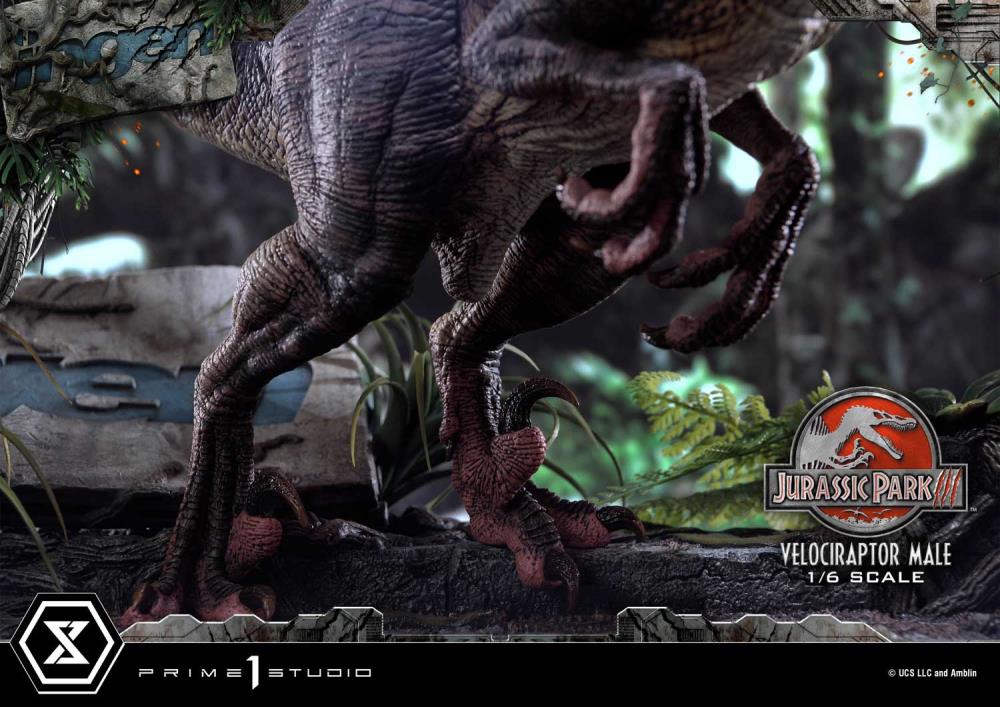 Jurassic Park III Legacy Museum Collection Velociraptor Male 1/6 Scale Statue Gallery Image 22