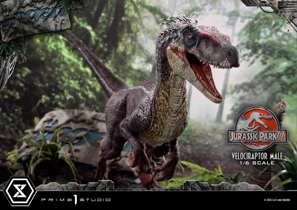 Jurassic Park III Legacy Museum Collection Velociraptor Male 1/6 Scale Statue Gallery Image 7