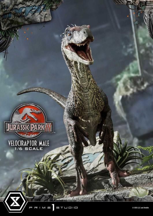 Jurassic Park III Legacy Museum Collection Velociraptor Male 1/6 Scale Statue Gallery Image 16