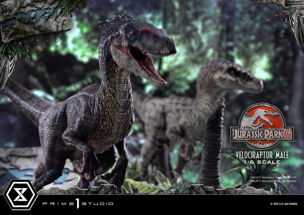 Jurassic Park III Legacy Museum Collection Velociraptor Male 1/6 Scale Statue Gallery Image 54