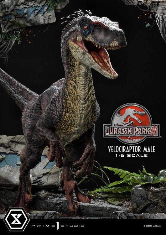 Jurassic Park III Legacy Museum Collection Velociraptor Male 1/6 Scale Statue Gallery Image 33
