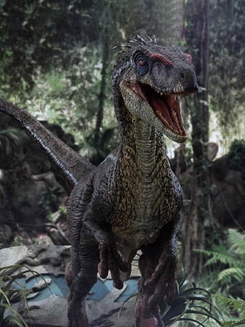 Jurassic Park III Legacy Museum Collection Velociraptor Male 1/6 Scale Statue Gallery Image 2
