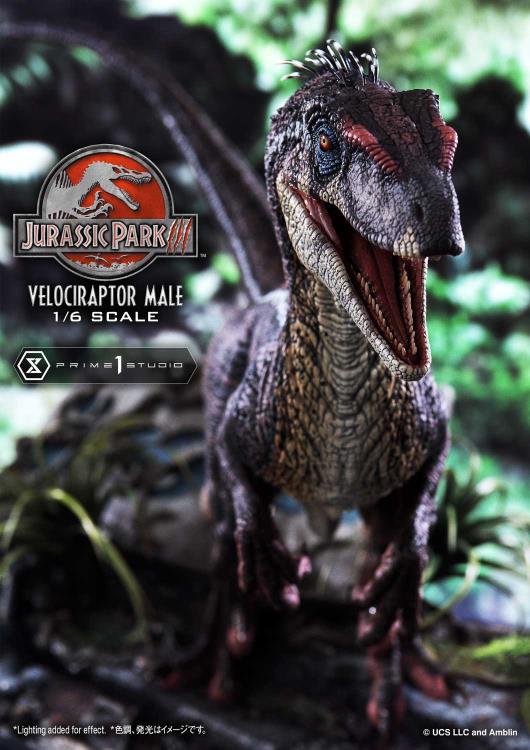 Jurassic Park III Legacy Museum Collection Velociraptor Male 1/6 Scale Statue Gallery Image 24