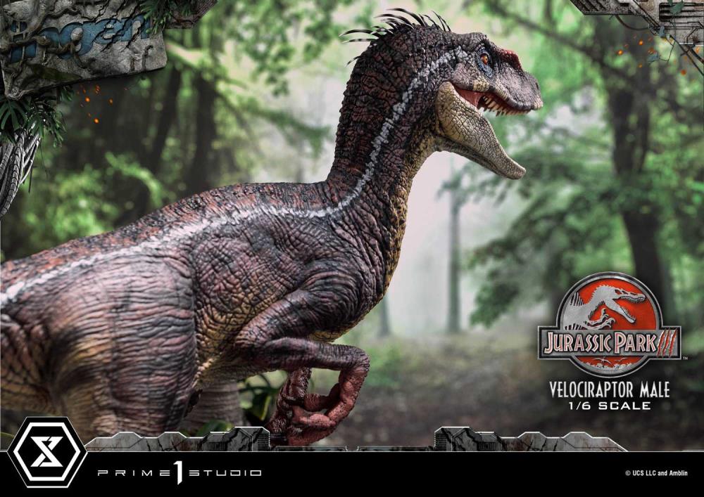 Jurassic Park III Legacy Museum Collection Velociraptor Male 1/6 Scale Limited Edition Statue (with Bonus) Gallery Image 7