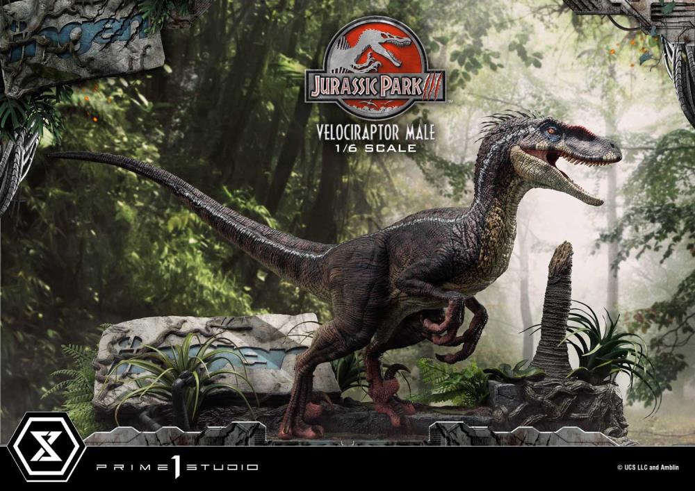 Jurassic Park III Legacy Museum Collection Velociraptor Male 1/6 Scale Limited Edition Statue (with Bonus) Gallery Image 6