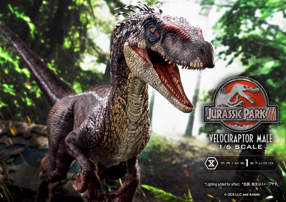 Jurassic Park III Legacy Museum Collection Velociraptor Male 1/6 Scale Limited Edition Statue (with Bonus) Gallery Image 10