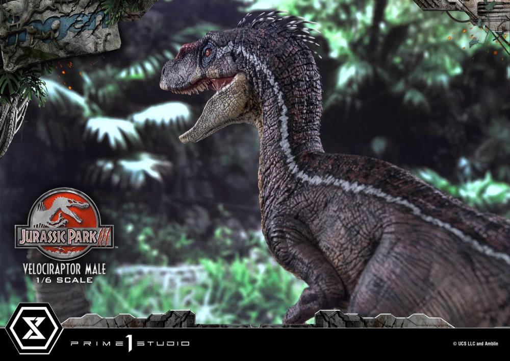 Jurassic Park III Legacy Museum Collection Velociraptor Male 1/6 Scale Limited Edition Statue (with Bonus) Gallery Image 19