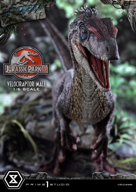 Jurassic Park III Legacy Museum Collection Velociraptor Male 1/6 Scale Limited Edition Statue (with Bonus) Gallery Image 24