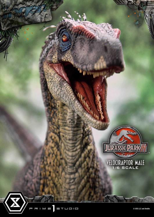 Jurassic Park III Legacy Museum Collection Velociraptor Male 1/6 Scale Limited Edition Statue (with Bonus) Gallery Image 12