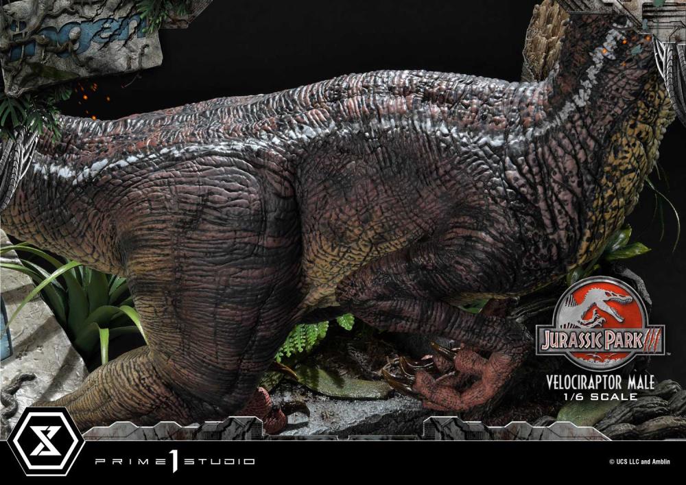 Jurassic Park III Legacy Museum Collection Velociraptor Male 1/6 Scale Limited Edition Statue (with Bonus) Gallery Image 48