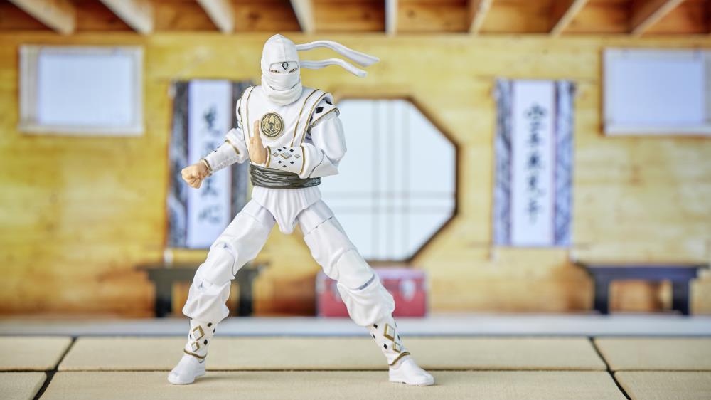 Mighty Morphin Power Rangers x Cobra Kai Lightning Collection Morphed Daniel LaRusso White Crane Ranger Exclusive Gallery Image 11