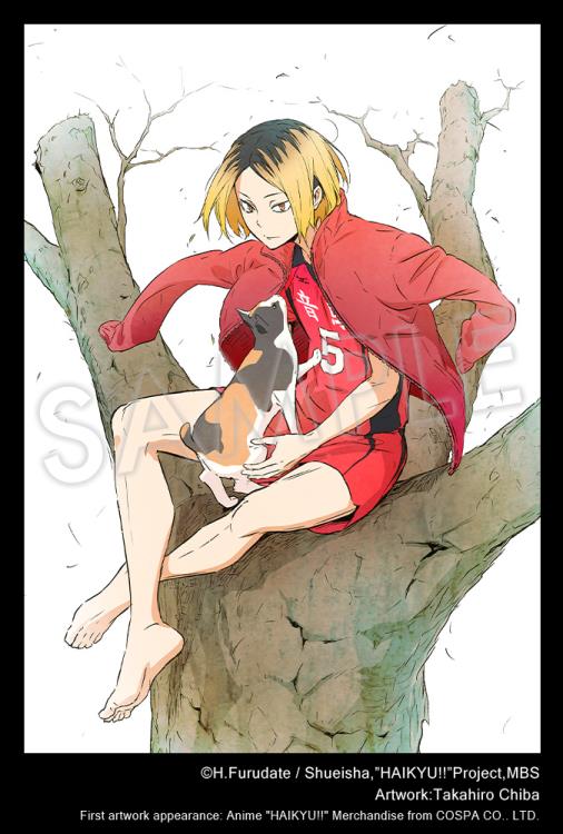 Haikyuu!! ArtFX J Kenma Kozume 1/8 Scale Figure Gallery Image 12