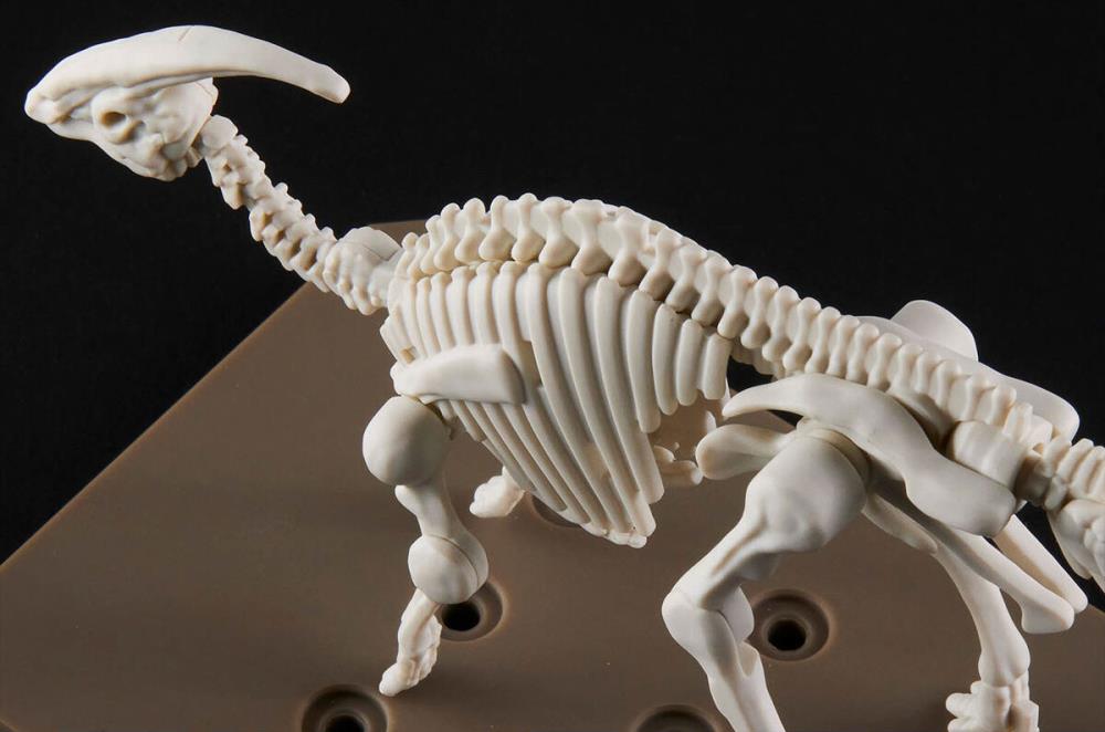 Plannosaurus Parasaurolophus  Model Kit Gallery Image 11