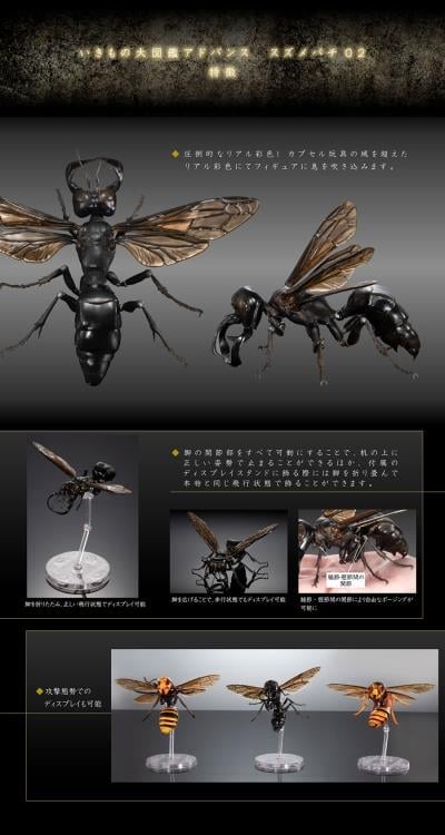 The Diversity of Life on Earth Advanced Wasp Vol.2 Exclusive