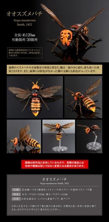 The Diversity of Life on Earth Advanced Wasp Vol.2 Exclusive