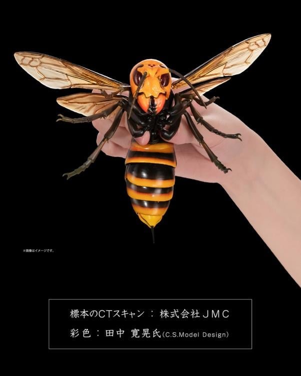 The Diversity of Life on Earth Advanced Wasp Vol.2 Exclusive