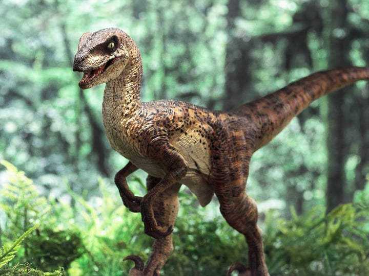 Jurassic Park Prime Collectible Figures Velociraptor (Open Mouth) 1/10 Scale Statue Gallery Image 1