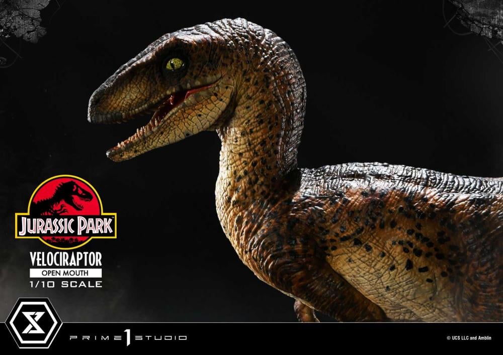 Jurassic Park Prime Collectible Figures Velociraptor (Open Mouth) 1/10 Scale Statue Gallery Image 9