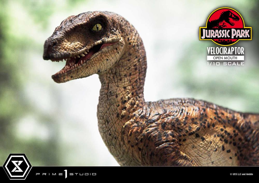 Jurassic Park Prime Collectible Figures Velociraptor (Open Mouth) 1/10 Scale Statue Gallery Image 19