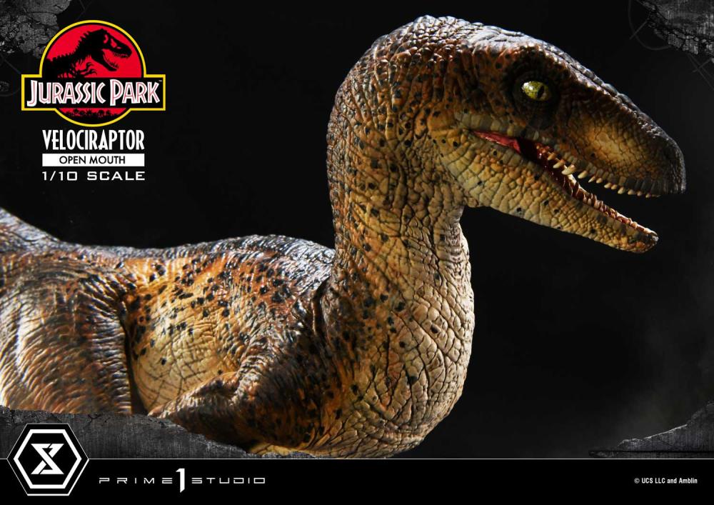 Jurassic Park Prime Collectible Figures Velociraptor (Open Mouth) 1/10 Scale Statue Gallery Image 8