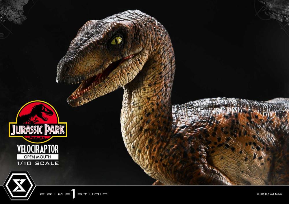 Jurassic Park Prime Collectible Figures Velociraptor (Open Mouth) 1/10 Scale Statue Gallery Image 7