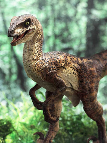 Jurassic Park Prime Collectible Figures Velociraptor (Open Mouth) 1/10 Scale Statue Gallery Image 2