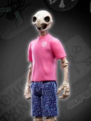 Powell-Peralta ReAction Wave 5 Tony Hawk Gallery Image 2