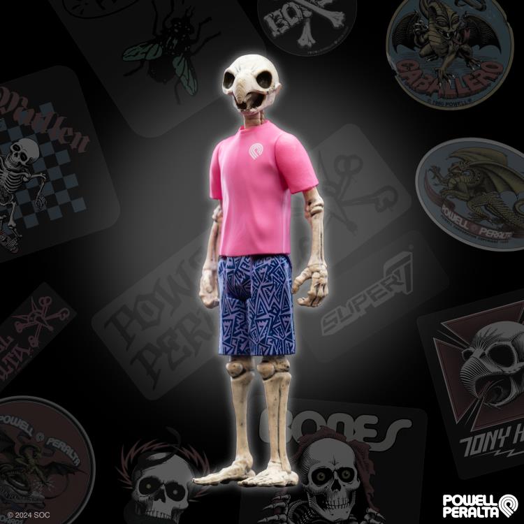 Powell-Peralta ReAction Wave 5 Tony Hawk Gallery Image 3