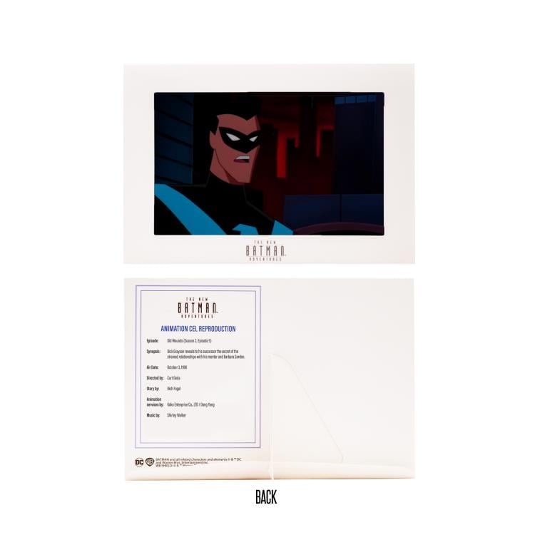 The New Batman Adventures Nightwing Action Figure Gallery Image 10
