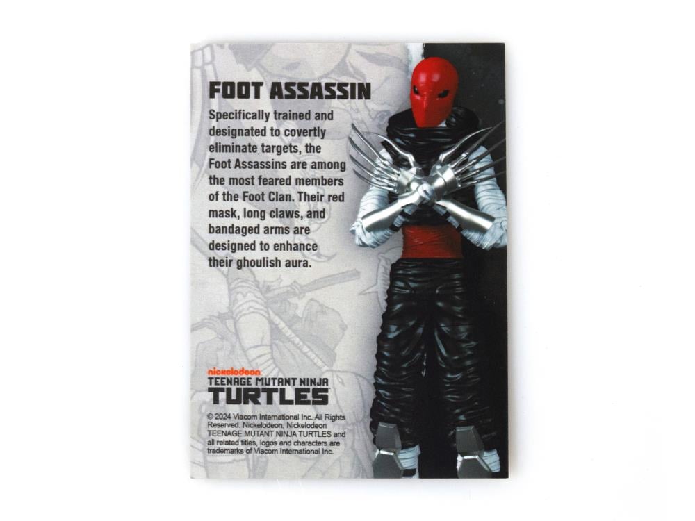 Teenage Mutant Ninja Turtles BST AXN Foot Assassin (IDW Comic) Gallery Image 11