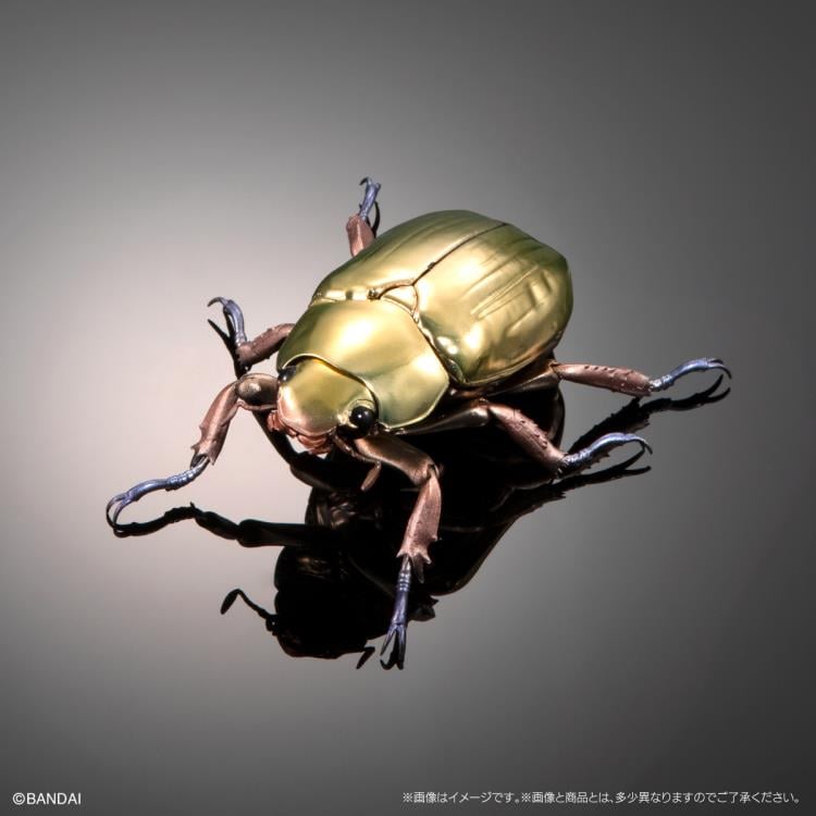 The Diversity of Life on Earth Jewel Scarab & Rainbow Stag Beetle Exclusive Figure Set Gallery Image 4