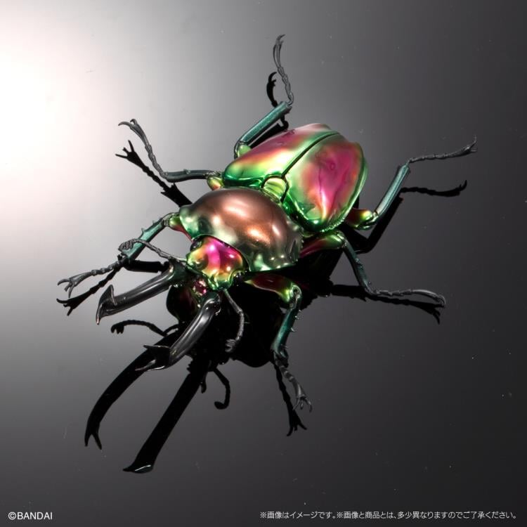 The Diversity of Life on Earth Jewel Scarab & Rainbow Stag Beetle Exclusive Figure Set Gallery Image 6
