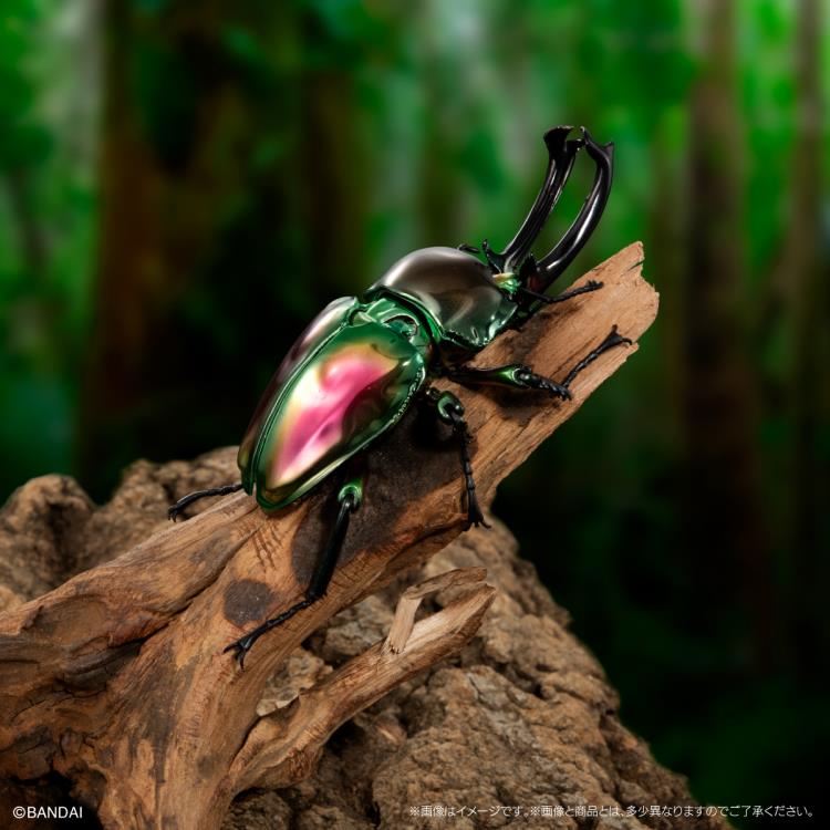 The Diversity of Life on Earth Jewel Scarab & Rainbow Stag Beetle Exclusive Figure Set Gallery Image 8