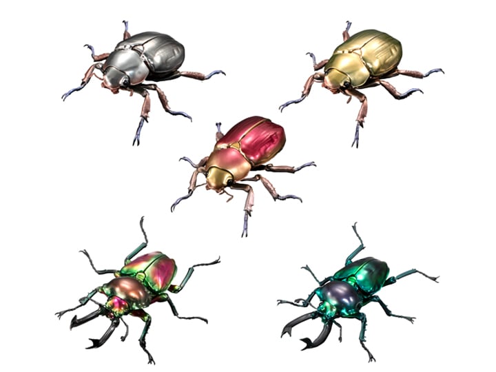 The Diversity of Life on Earth Jewel Scarab & Rainbow Stag Beetle Exclusive Figure Set Gallery Image 1