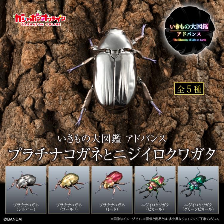 The Diversity of Life on Earth Jewel Scarab & Rainbow Stag Beetle Exclusive Figure Set Gallery Image 13