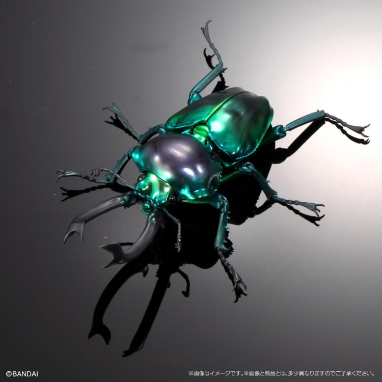 The Diversity of Life on Earth Jewel Scarab & Rainbow Stag Beetle Exclusive Figure Set Gallery Image 7