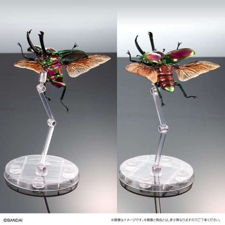 The Diversity of Life on Earth Jewel Scarab & Rainbow Stag Beetle Exclusive Figure Set Gallery Image 12