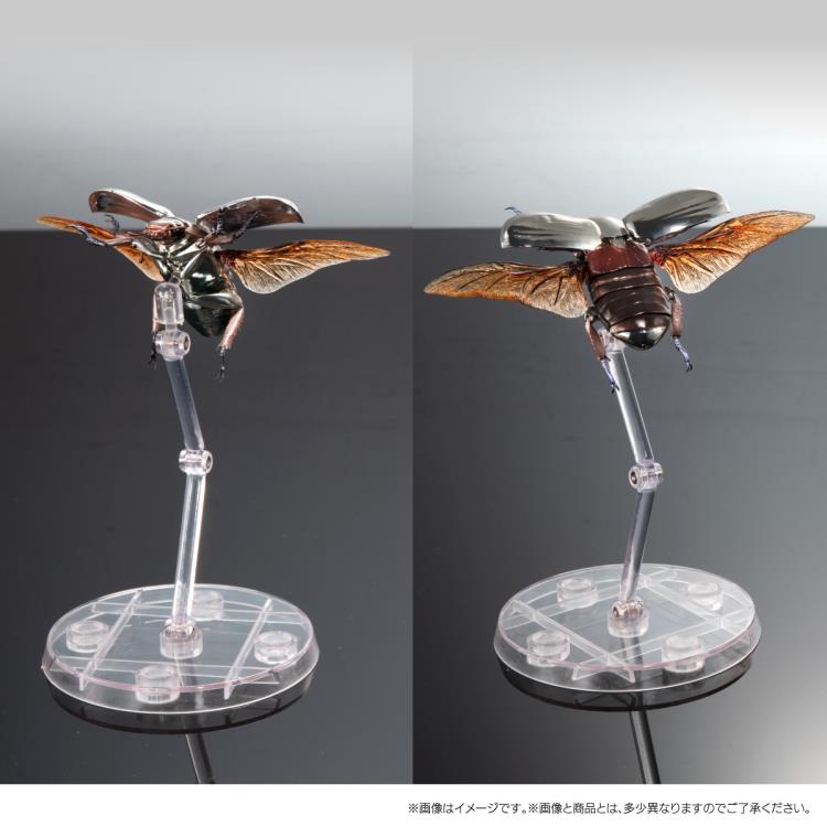 The Diversity of Life on Earth Jewel Scarab & Rainbow Stag Beetle Exclusive Figure Set Gallery Image 11