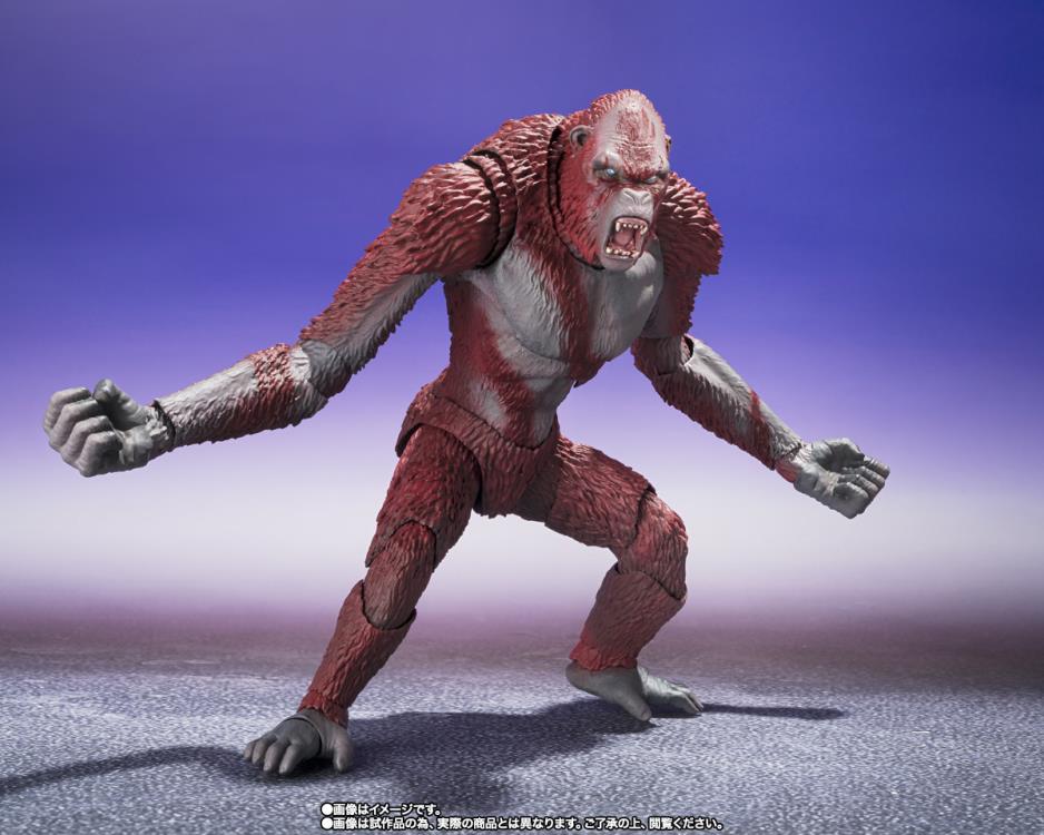 Godzilla x Kong: The New Empire S.H.MonsterArts Skar King