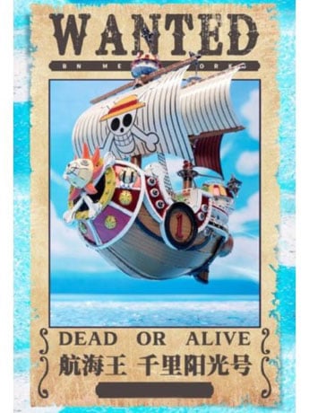 One Piece BN Metal Works Thousand Sunny Model Kit