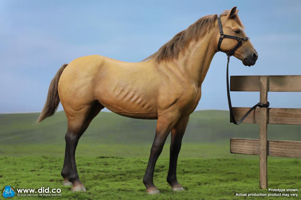 Civil War Brown War Horse (Standing) 1/6 Scale Figure Gallery Image 11