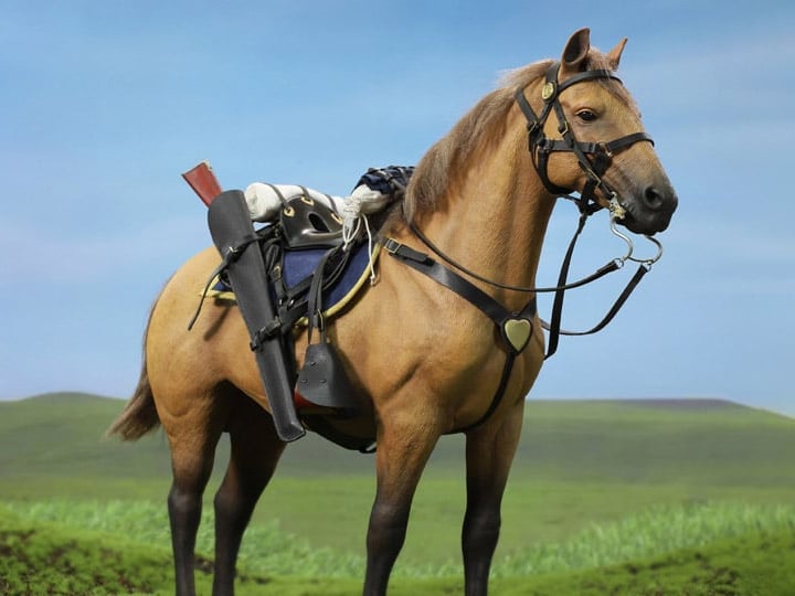 Civil War Brown War Horse (Standing) 1/6 Scale Figure Gallery Image 1