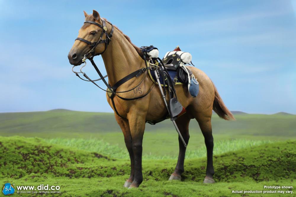Civil War Brown War Horse (Standing) 1/6 Scale Figure Gallery Image 4